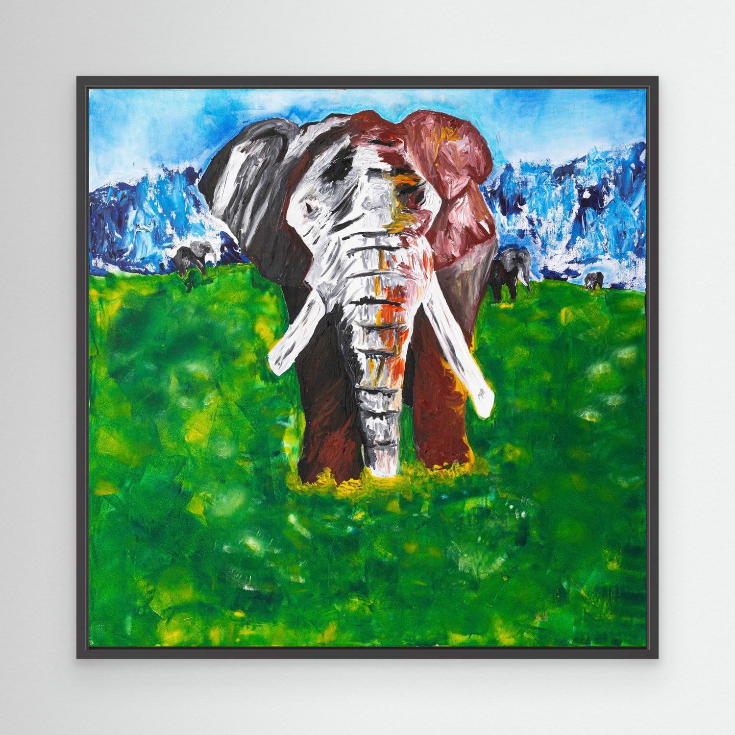 Wildlife Collection – Encounters in the Wild